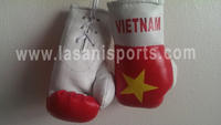 Vietnam Flag Mini Boxing gloves