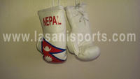 Nepal Flag Mini Boxing gloves