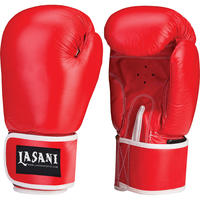 Red Leather Boxing Gloves