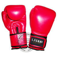 Pro Boxing Gloves - 107