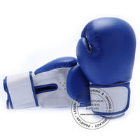 Blue Boxing Gloves -  106 