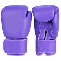 Purple Boxing Gloves -110 