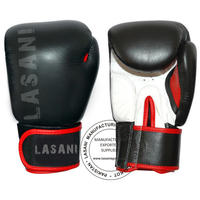 Muay Thai Boxing Gloves - Black  Red 