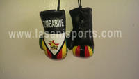 Zimbabwe Flag Mini Boxing gloves 