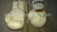 Cypress Flag Mini Boxing gloves