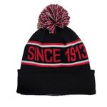 Bobble Hat  Cap Beanie