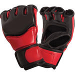 MMA Training Gloves