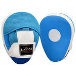 Boxing Target Hand Pads