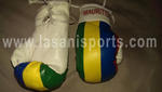 Mauritius Flag Mini Boxing gloves 