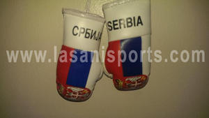 Mini Boxhandschuhe Serbia – 5elements-sports